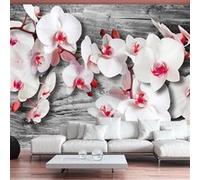 Papier peint Callous orchids-Taille L 200 x H 140 cm Imprimé