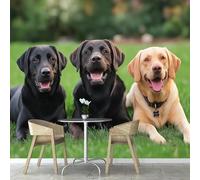 Papier Peint Chien 3D Auto Adhesif Panoramique Mural Animal Papier Peint en Soie Poster Trompe L'oeil Décoration Murale Salon Chambre 150x105 cm A-8194