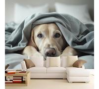 Papier Peint Chien 3D Auto Adhesif Panoramique Mural Animal Papier Peint en Soie Poster XXL Décoration Murale Salon Chambre 300x210 cm A-5605