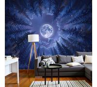 Papier Peint Ciel Étoilé Féerique Et Pleine Lune 308 X 220 Cm Papier Peint Panoramique Effet 3D, Peinture Murale Poster Intissé Vue Aérienne La Canopée La Forêt Pins, Pour Chambre Salon Tv Fond