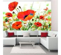 Papier peint Country poppies-Taille L 250 x H 193 cm Imprimé G