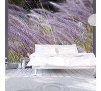 Papier peint Dans un champ d'herbes folles-Taille L 250 x H 193 cm