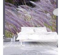 Papier peint Dans un champ d'herbes folles-Taille L 350 x H 270 cm Imprimé