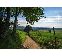 Papier Peint déco poster SENTIER 3 x 2,70 m | Déco et photo murale XXL Qualité HD Scenolia