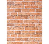 Papier peint design vintage rustique EDEM 583-23 aspect mur de briques bricks brix terre cuite