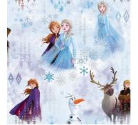 Papier peint Disney Frozen 2 Wonder - Muriva - Bleu - Chambre - Effet peinture - 10m x 53cm