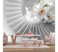 Papier Peint "Domino Effect" 245 x 350 cm G