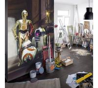 KOMAR Papier Peint droïde Star Wars Le Réveil de la Force les 3 robots 254X184 CM Multicolors G