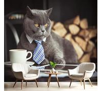 Papier Peint Drôle Chat,Wallpaper Panoramique Animaux Mignons Et Drôles, Papier Peint Intissé Salon Chambre Bureau 200×150cm Fresque Murale Gris