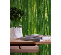 Papier Peint En Bambou Avec Motif De Forêt Tropicale - Vert