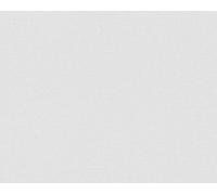 Papier peint en laine avec support textile en gris, rouleau : 10,05 m x 0,53 m (5,33 m²), TA-305396551