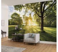 Papier Peint Ensoleillé Vert Nature Campagne 368x254cm Avec Adhésif