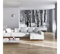 Papier Peint "Escaliers Montmartre" 154 x 200 cm Imprimé G