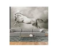 Papier peint Étalon sauvage-Taille L 200 x H 154 cm Imprimé