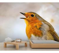 Papier peint européen rouge-gorge aux couleurs vives, papier peint de bureau coloré nature oiseau mural enfants pour chambre à coucher, grande œuvre d'art, salon, canapé, arrière-plan TV 300 x 240 cm