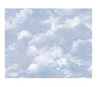 Papier peint EXP CIEL NUAGES MOUETTES Lot de 12 G