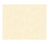 A.S. Création Papier Peints Uni Attractive intissé 10.05 m x 0.53 m Rosé Fabriqué en Allemagne 303219 3032-19