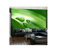 Papier peint Non renseigné Papier peint Feuille et trois gouttes d'eau-Taille L 400 x H 309 cm