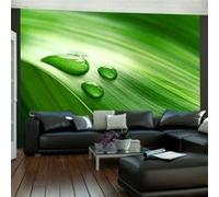 Papier peint Feuille et trois gouttes d'eau-Taille L 300 x H 231 cm Imprimé