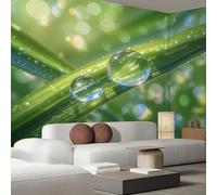 Papier Peint Feuilles D'Herbe 3D Rosée, Papier Peint Panoramique Paysage Végétal Ensoleillé Vert Sauge Pour Salon Chambre Bureau Couloir, Décoration Murale Poster Intérieure, 400X280Cm (L X H)