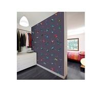 Papier peint Flight of hummingbirds-Taille L 50 x H 100 cm Imprimé