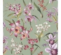 Papier peint floral coloré et vibrant Rasch Maya pour murs d'accent du salon et des chambres Vert sauge 283654