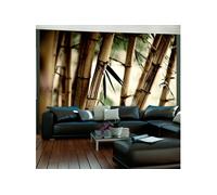 Papier Peint "Fog & Bamboo Forest" 309 x 400 cm