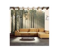 Papier peint Foggy November morning-Taille L 350 x H 270 cm