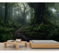 Papier peint forêt de jungle sombre forêt tropicale brumeuse pour murs, vieux arbres, chemin de terre, papier peint pour chambre à coucher, salon, poster 100 x 70 cm