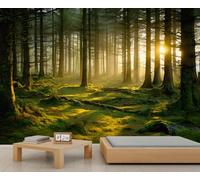 Papier peint forêt paysage d'arbre papier peint personnalisé Woodland Wall Murals Chambre à coucher pour salon chambre d'enfant 150 x 105 cm