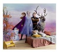 Photo Murale, 368cm x 254cm, Frozen Iconic