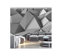 Papier peint Graphite fantasy-Taille L 400 x H 280 cm