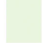 Papier peint intissé 10171-35 Papier peint uni 0,53 x 10,05 m Erismann ELLE Décoration Vert