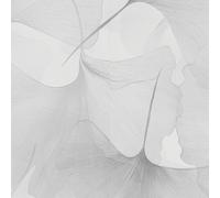 Papier peint intissé 10470-31 Fleurs Floral 0.53 x 10.05 m Elysium Erismann