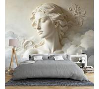 Papier Peint Intissé 3D En Relief Représentant Une Déesse Des Nuages 200 × 140 Cm Motif Floral Acanthe Rococo Sculpture Florale Style Vintage Et Onirique Décoration Murale Artistique Pour Chamb