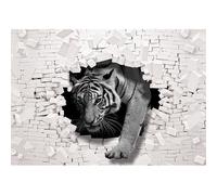 Papier Peint Intissé 3D Optique Tigre 416x254 cm Moderne Abstrait Chambre Salon Photo Non Tissé Muraux Trompe l'oeil