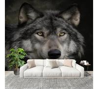 Papier Peint Intissé 3D Panoramique 350x256 cm Gros Plan Sur Un Loup Gris Papier Peint Photo Fresque Murale Décoration Murale Personnalisée, Gris Résistant à la Poussière, Poster Mural
