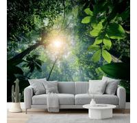 Papier peint intissé 400 x 280 cm Décoration murale pour salon, Forêt tropicale Soleil Nature Moderne Décoration Coucher Bureau Salle Fond Décor TV Or vert