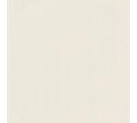 Papier Peint Intissé 464030 Papier Peint Uni 53 x 1005 cm Rasch Selection