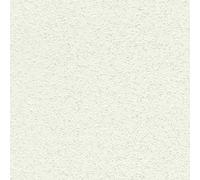 Papier Peint Intissé 486599 Papier Peint Uni 53 x 1005 cm Rasch Selection