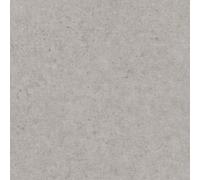 Papier Peint Intissé 520866 Papier Peint Uni 53 x 1005 cm Rasch Factory V