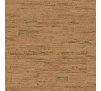 Papier Peint Intissé 537079 Papier Peint Bois 53 x 1005 cm Rasch Curiosity