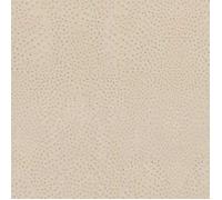 Papier peint intissé 751512 papier peint animaux 53 x 1005 cm Rasch African Queen III Beige