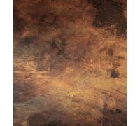 Papier peint intissé CUIVRE RAYÉ 225 cm x 250 cm | Tapisserie Murale XXL Poster Décoration - Salon Appartement - Photo d'art Tableaux Muraux | QUALITÉ SUPÉRIEURE - MADE IN EU - Y compris adhésif