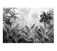 Papier Peint Intissé Forêt Jungle 416x254 cm Amazonia noir et blanc Panoramique Salon Photo Non Tissé Muraux Moderne Trompe l'oeil