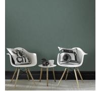 Papier peint intissé Grandes Feuilles Botaniques 1005 x 52cm Vert