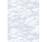 Papier Peint Intissé Gris Clair Motif Nuages Style Vintage - Gris, Blanc