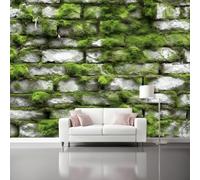 Papier Peint Intissé Nature Mousse Mur de pierre Plantes vertes Papier Peint Panoramique Vert Gris Tableaux Photo Muraux Utilisé Pour Salon Chambre Chambre D'Enfant Décoration Murale 400 x 280 cm