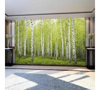 Papier Peint Intissé Panoramique forêt de bouleaux 250 x 175 cm Murale Vert pour Salon Chambre Fond TV Décoration