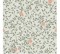 Papier peint intissé Secret 1005 x 52cm Vert, saumon sur fond beige